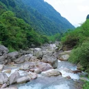 安靖大相岭茶马古道营地 - 雅安市旅游 缩略图 9