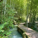 马岭古道 - 杭州市旅游 缩略图 6