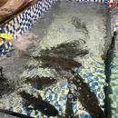 7mall美食潮地标 - 长沙市旅游 缩略图 9