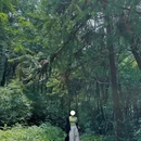 黄林古村太阴宫 - 温州市旅游 缩略图 5