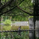 燕晗山郊野公园 - 深圳市旅游 缩略图 3