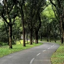 燕晗山郊野公园 - 深圳市旅游 缩略图 9