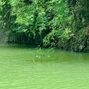 石门仙湖风景区 - 柳州市旅游 缩略图 5