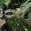 云南丰泽园植物园 - 昆明市旅游 缩略图 1
