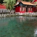 云南丰泽园植物园 - 昆明市旅游 缩略图 2