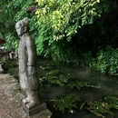 云南丰泽园植物园 - 昆明市旅游 缩略图 5