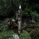 云南丰泽园植物园 - 昆明市旅游 缩略图 7