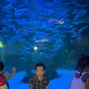 太古汇1座 - 广州市旅游 缩略图 4