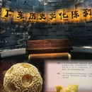广东省博物馆 - 广州市旅游 缩略图 1