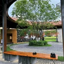 里水嘉洲广场 - 佛山市旅游 缩略图 4