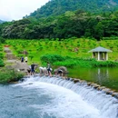 石门国家森林公园 - 广州市旅游 缩略图 5
