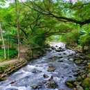 石门国家森林公园 - 广州市旅游 缩略图 4