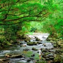 石门国家森林公园 - 广州市旅游 缩略图 6