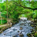 石门国家森林公园 - 广州市旅游 缩略图 8