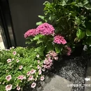 婺城区逸境·宋酒店(古子城步行街店) - 金华市旅游 缩略图 8