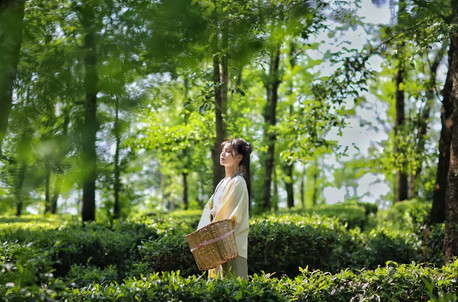 5天4晚·昆明+芒市+腾冲 西南边境自由行 | 傣寨烟火·极边遗韵