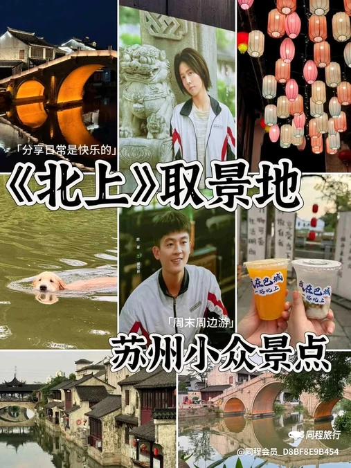 西树泡芙(苏州新苏天地) - 苏州市旅游