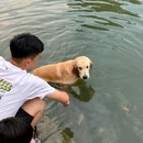 西树泡芙(苏州新苏天地) - 苏州市旅游 缩略图 3