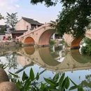 西树泡芙(苏州新苏天地) - 苏州市旅游 缩略图 6