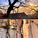 泰山风景区 - 泰安市旅游 缩略图 8