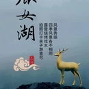 婺城区逸境·宋酒店(古子城步行街店) - 金华市旅游 缩略图 4