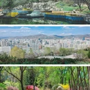 坎布拉国家森林公园 - 黄南藏族自治州旅游 缩略图 5