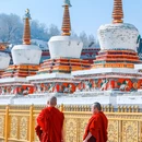 坎布拉国家森林公园 - 黄南藏族自治州旅游 缩略图 2