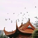 古开福寺 - 长沙市旅游 缩略图 4