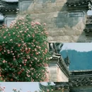 瑶里古镇风景区 - 景德镇市旅游 缩略图 8