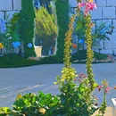 青岛-季序民宿 - 青岛市旅游 缩略图 7