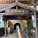 肯德基(星光店) - 杭州市旅游 缩略图 7