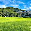 金坑绿谷 - 广州市旅游 缩略图 4