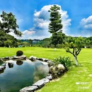 金坑绿谷 - 广州市旅游 缩略图 6