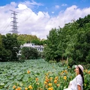 莲塘古村建筑群 - 广州市旅游 缩略图 3