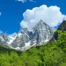 毕棚沟景区 - 阿坝藏族羌族自治州旅游 缩略图 7