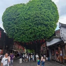三坊七巷 - 福州市旅游 缩略图 2