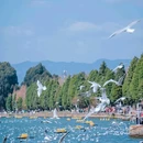 滇池 - 昆明市旅游 缩略图 6