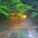 碧坞龙潭 - 湖州市旅游 缩略图 8