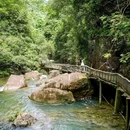 石门国家森林公园 - 广州市旅游 缩略图 6