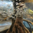 悦泊酒店(洛阳应天门洛邑古城店) - 洛阳市旅游 缩略图 9