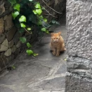 黄果树云端·石头寨深林民宿 - 安顺旅游 缩略图 9