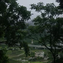 黄果树云端·石头寨深林民宿 - 安顺旅游 缩略图 4
