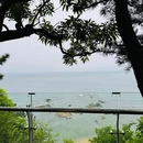 小岗 - 大连市旅游 缩略图 3