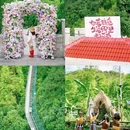 莫干山江南瑶坞旅游度假区 - 湖州市旅游 缩略图 4