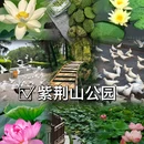 玉米大楼 - 郑州市旅游 缩略图 8