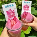老许家·鱼市主题餐厅 - 长沙市旅游 缩略图 8