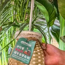 云阿蛮云南生汤牛肉米线(车公庙店) - 深圳市旅游 缩略图 9