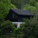 南京夫子庙 - 南京市旅游 缩略图 6