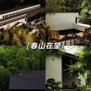 杭州西湖 - 杭州市旅游 缩略图 5