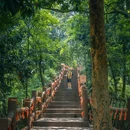 老峨山 - 眉山市旅游 缩略图 3